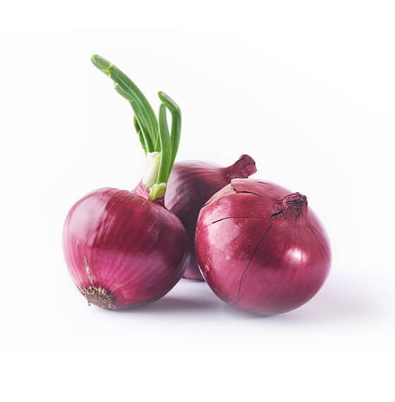Grow Better Agri