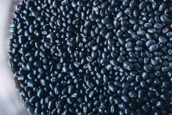 Urad Beans