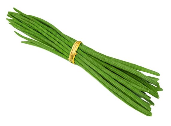 Drumstick